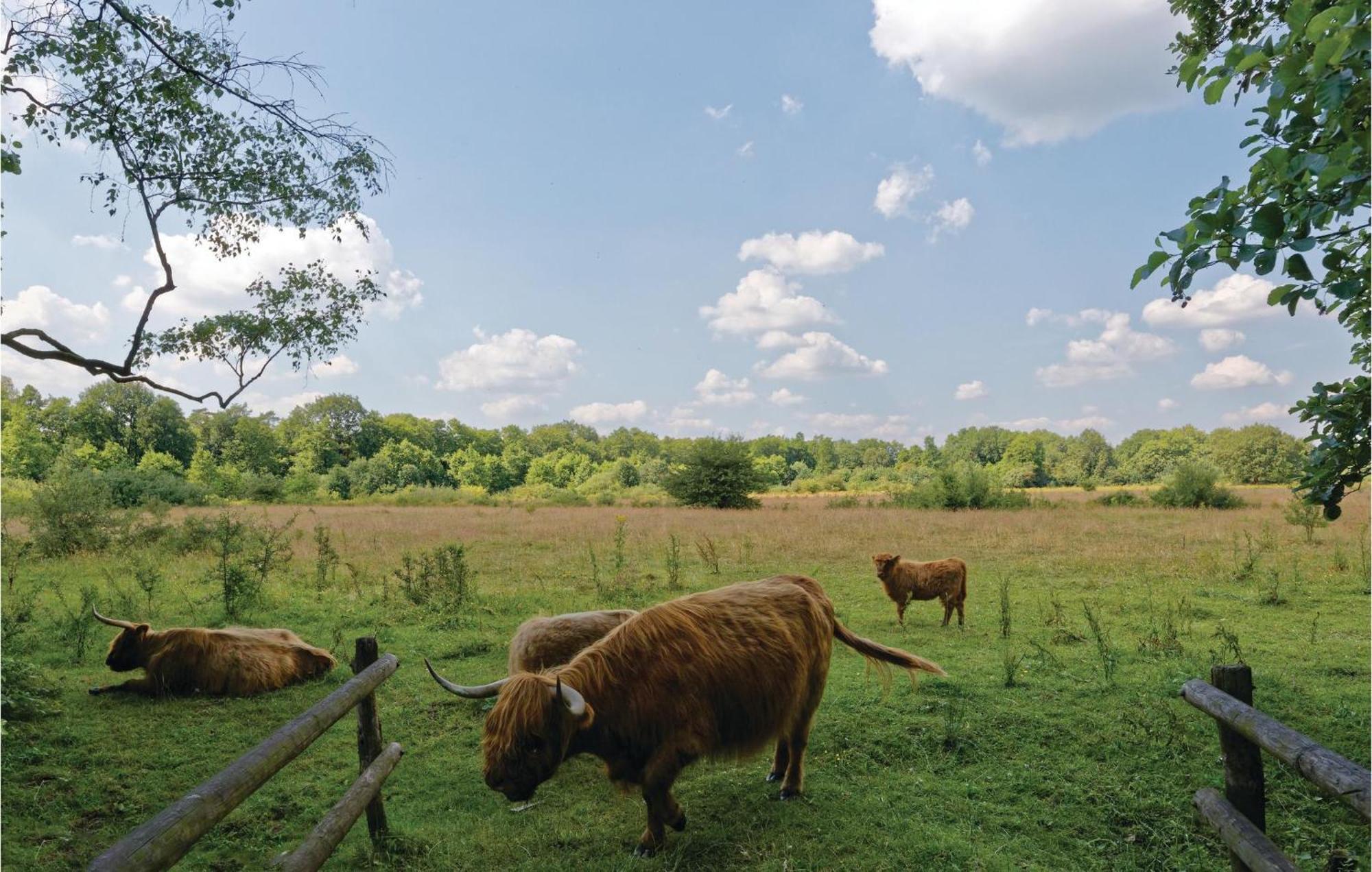 Weidemanssheide Villa Ommen Dış mekan fotoğraf